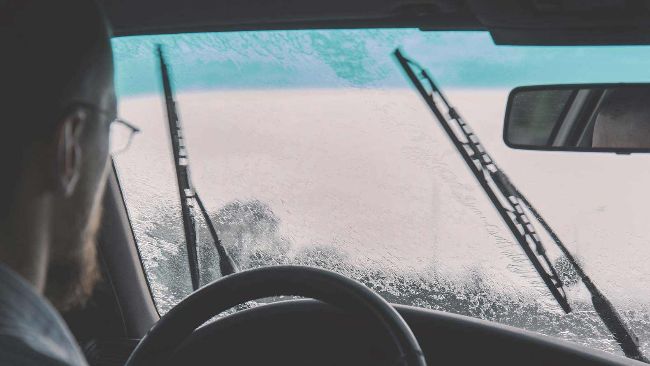 Estado das escovas para o inverno